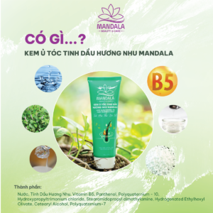 Kem Ủ Tóc Tinh Dầu Hương Nhu Mandala