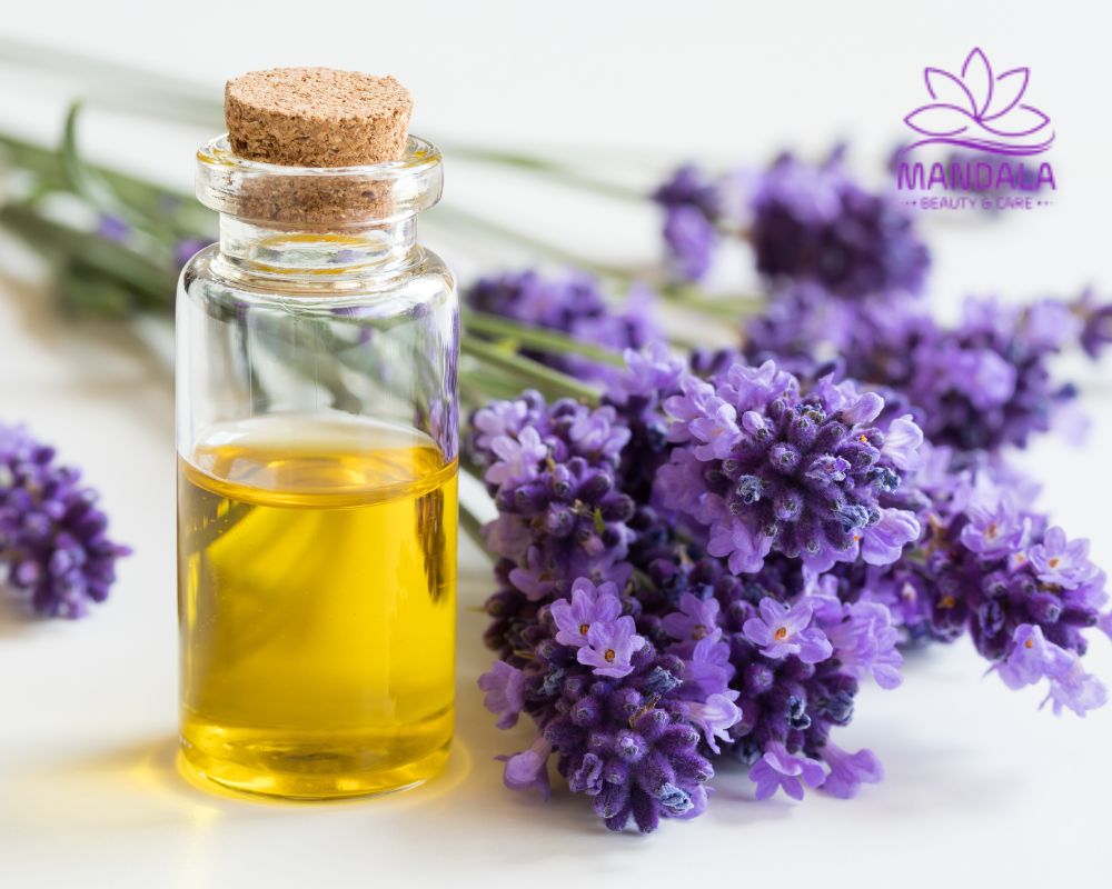 tinh dầu khử mùi hôi nhà vệ sinh